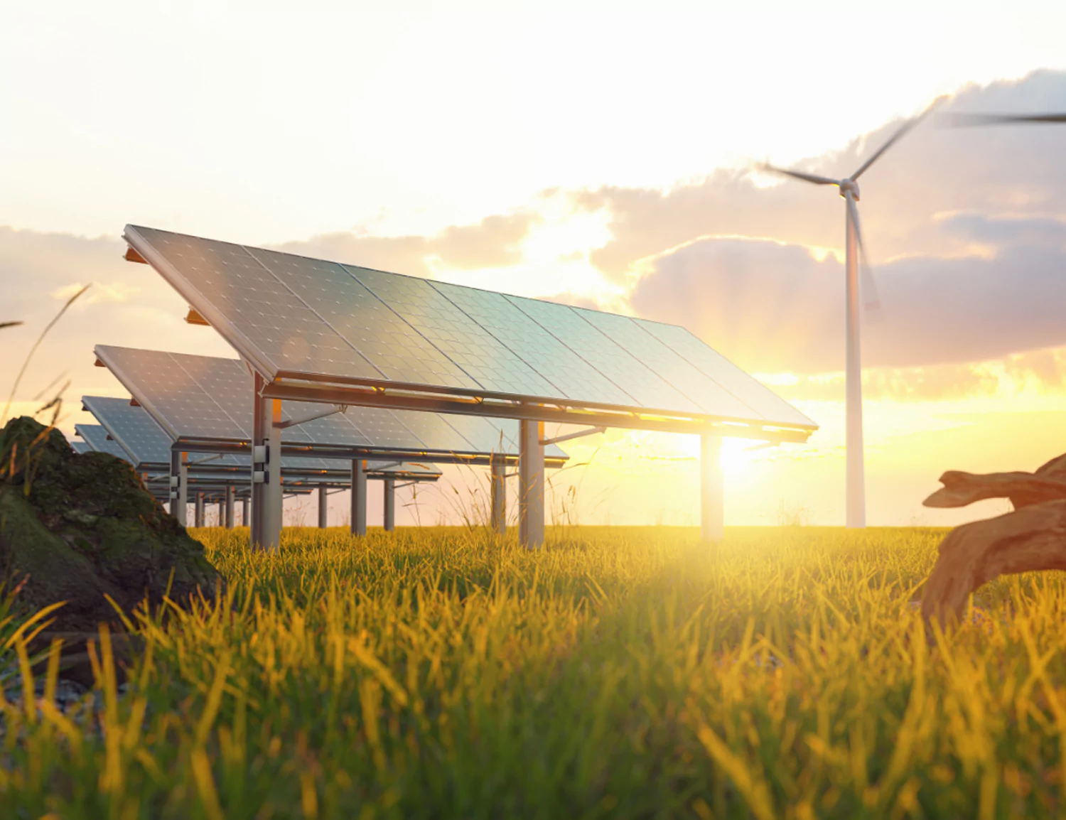 Sustainable Innovation