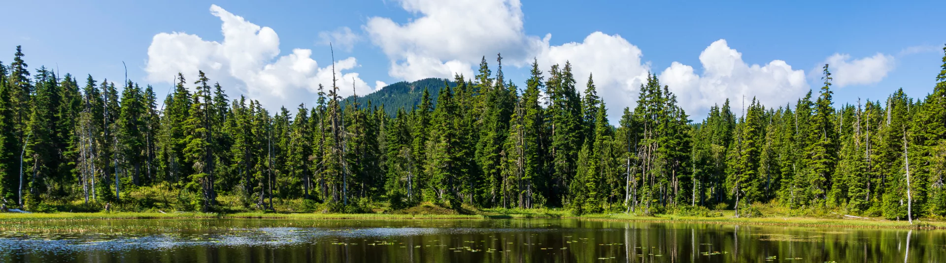 National Park Canada Alberta